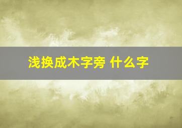 浅换成木字旁 什么字